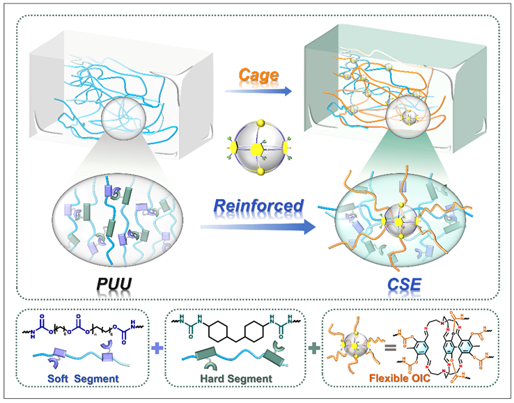 蘭州化物所王齊華研究員團隊最新AM：柔性籠增強的超分子彈性體